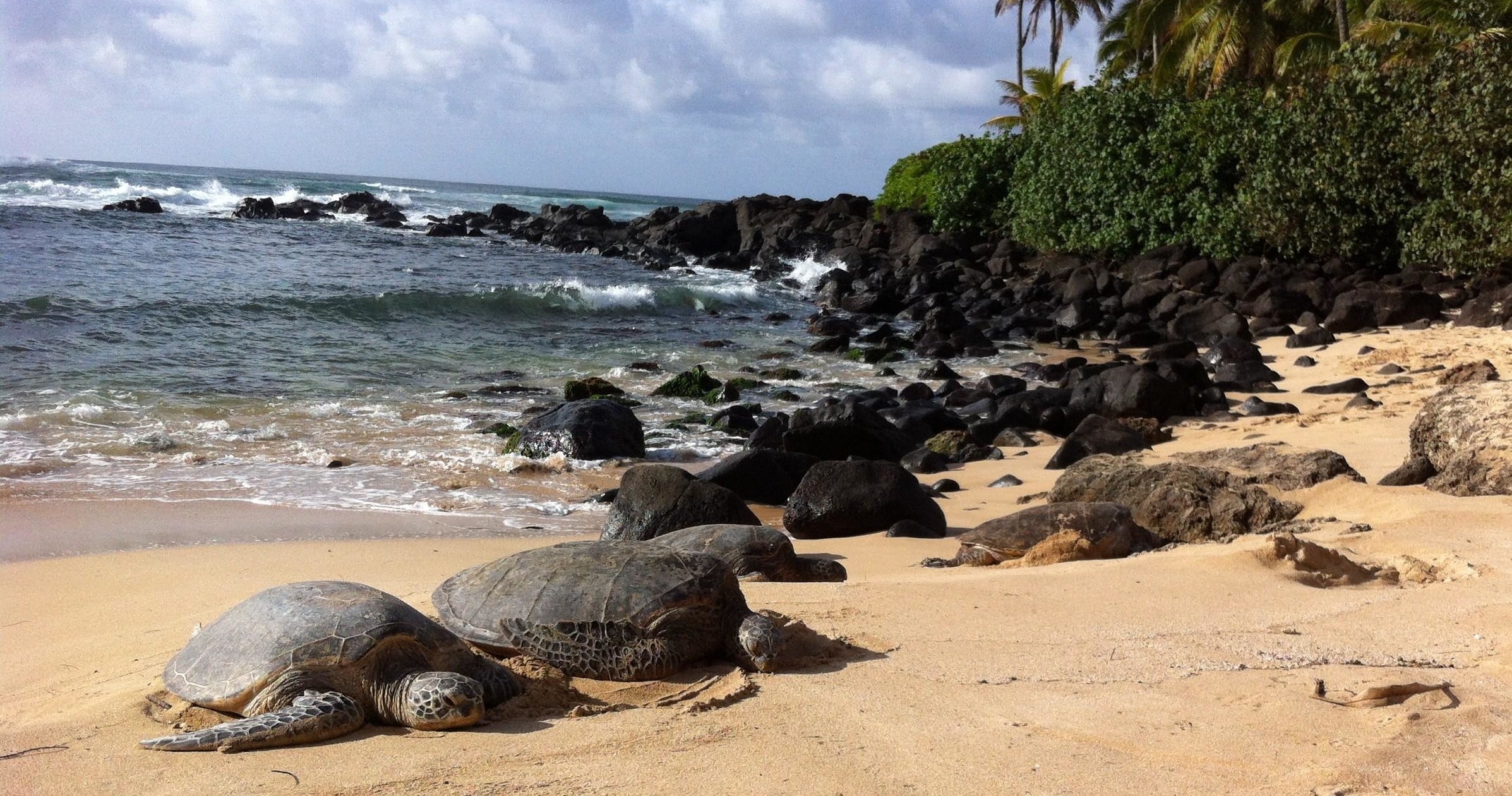 Private North Shore Tour