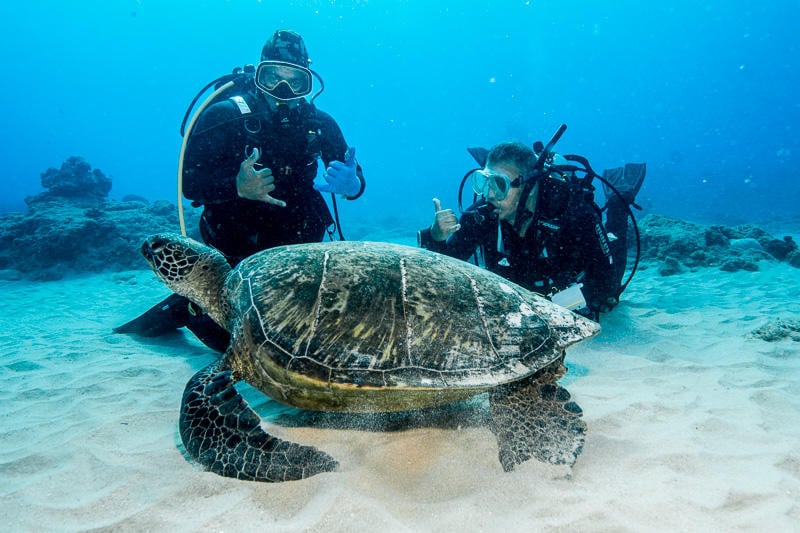 Open Water Certification