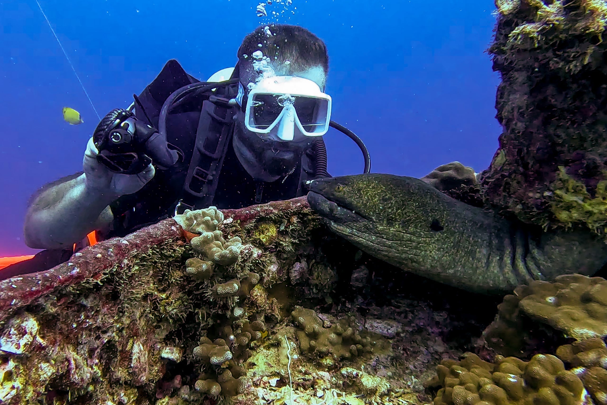 PADI SCUBA Courses