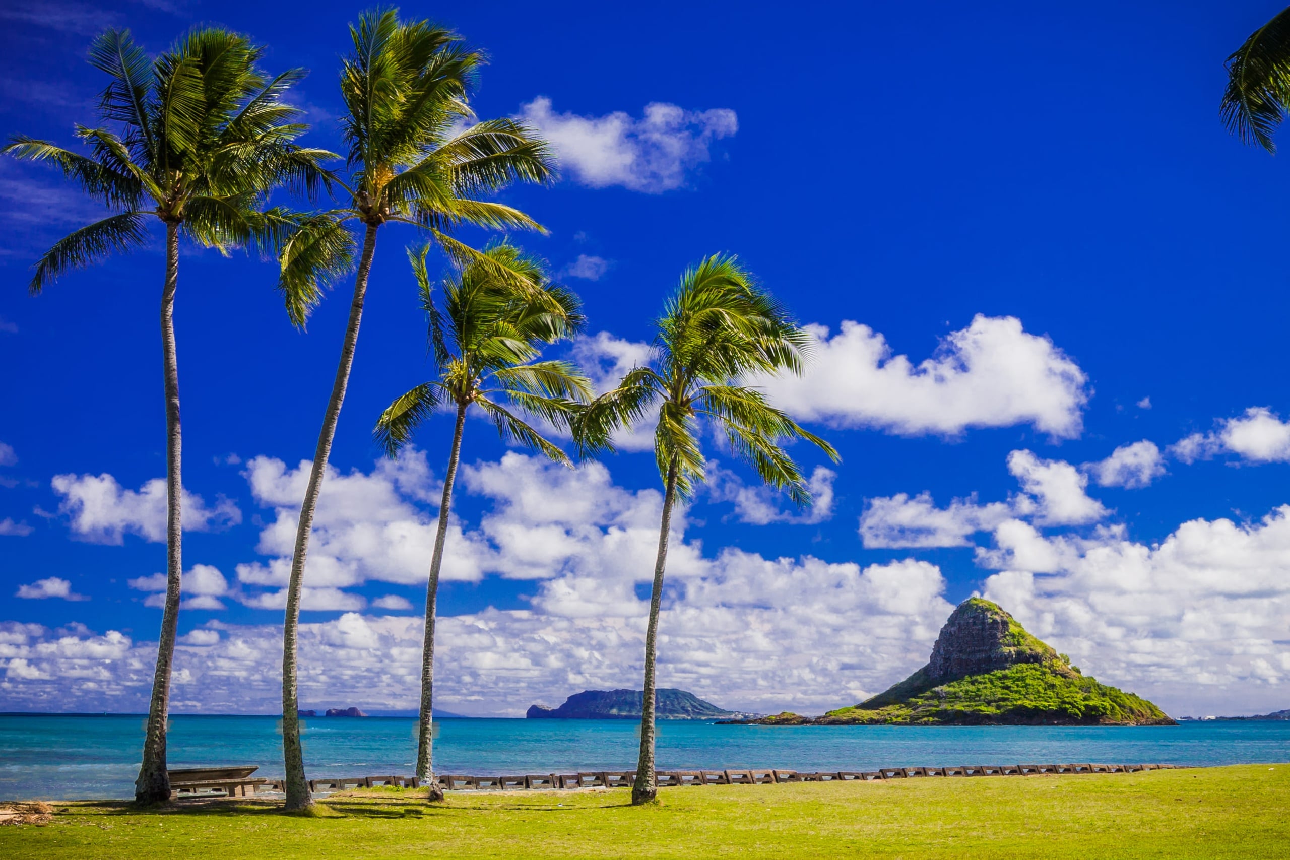 Grand Oahu Circle Island Tour With Snorkeling - VIP LIMITED SALE