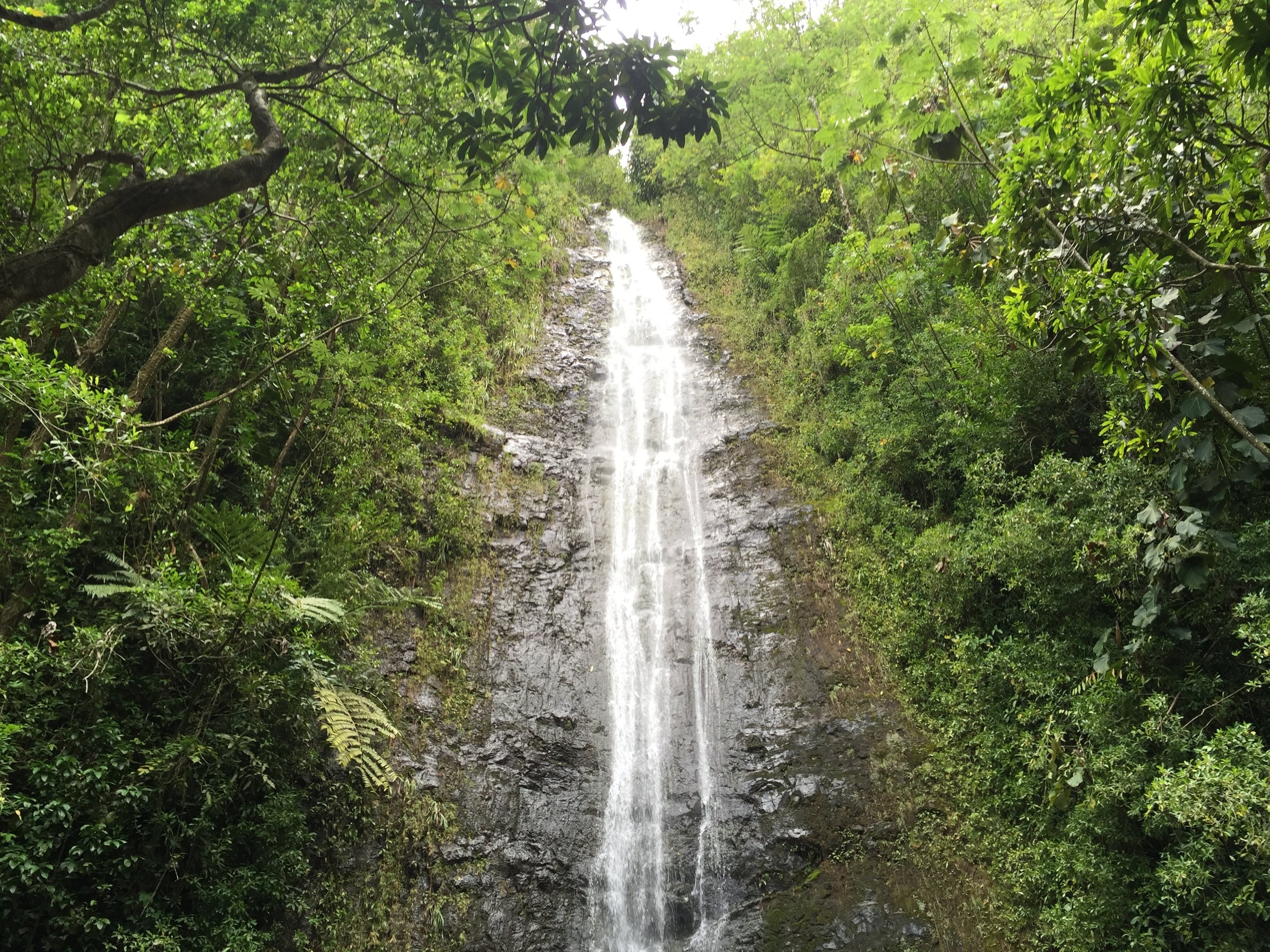Nature and You