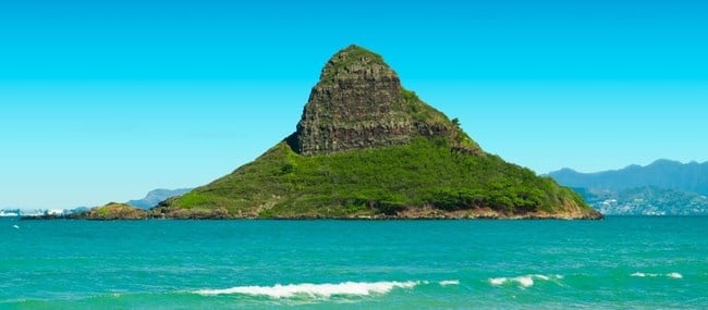 15A - 1/2 Day ECO Tour: Oahu Grand Circle Island, Dole Plantation, and Macadamia Farms