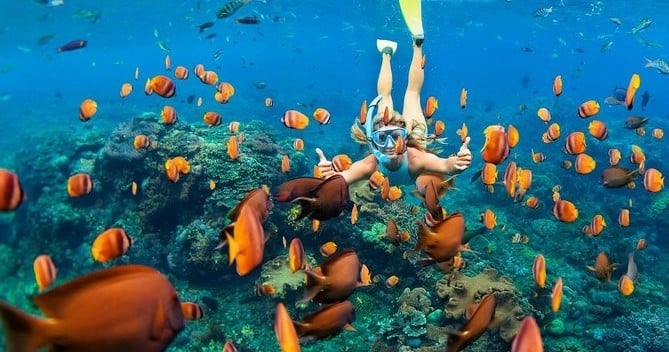 Snorkel Tour