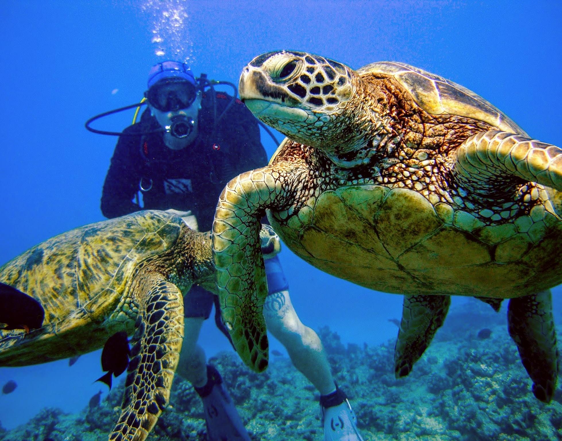 Reef Explorer – 2 Tank Dive Charter