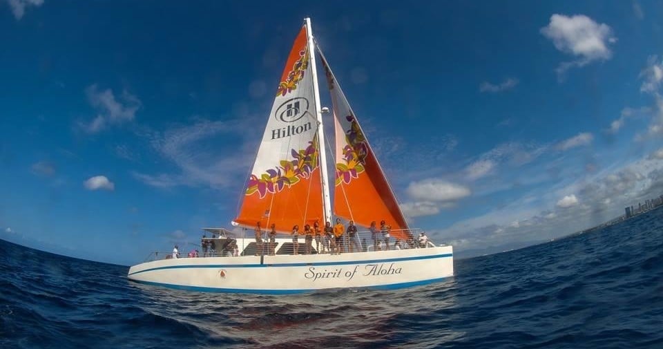 Turtle Snorkel Sail with Lunch