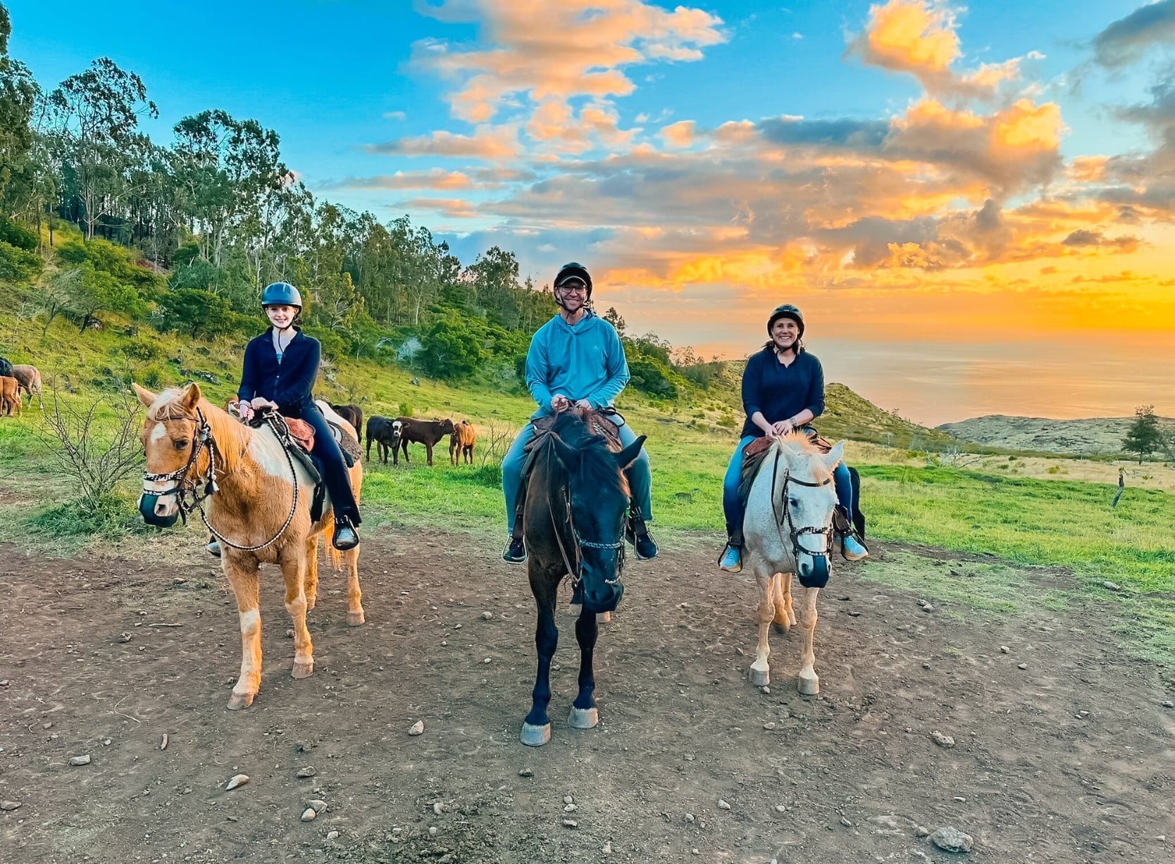 Mountain Vista - Sunset Group Horseback Ride