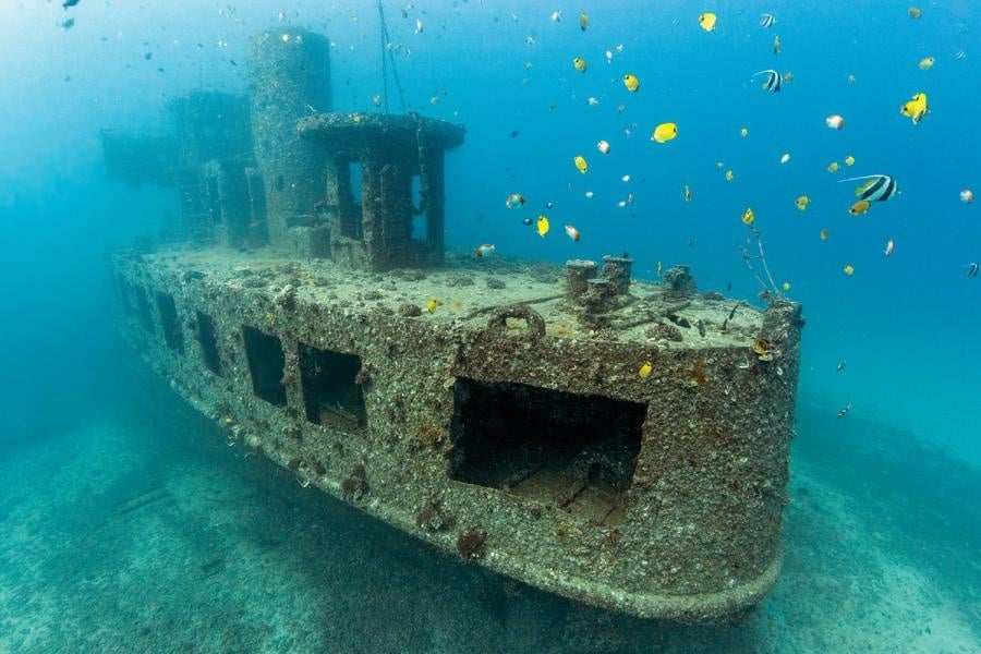 YO-257/San Pedro Shipwreck + 60 FT Dive (ONLY SUNDAYS)