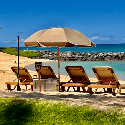 All Inclusive Package (Honu)