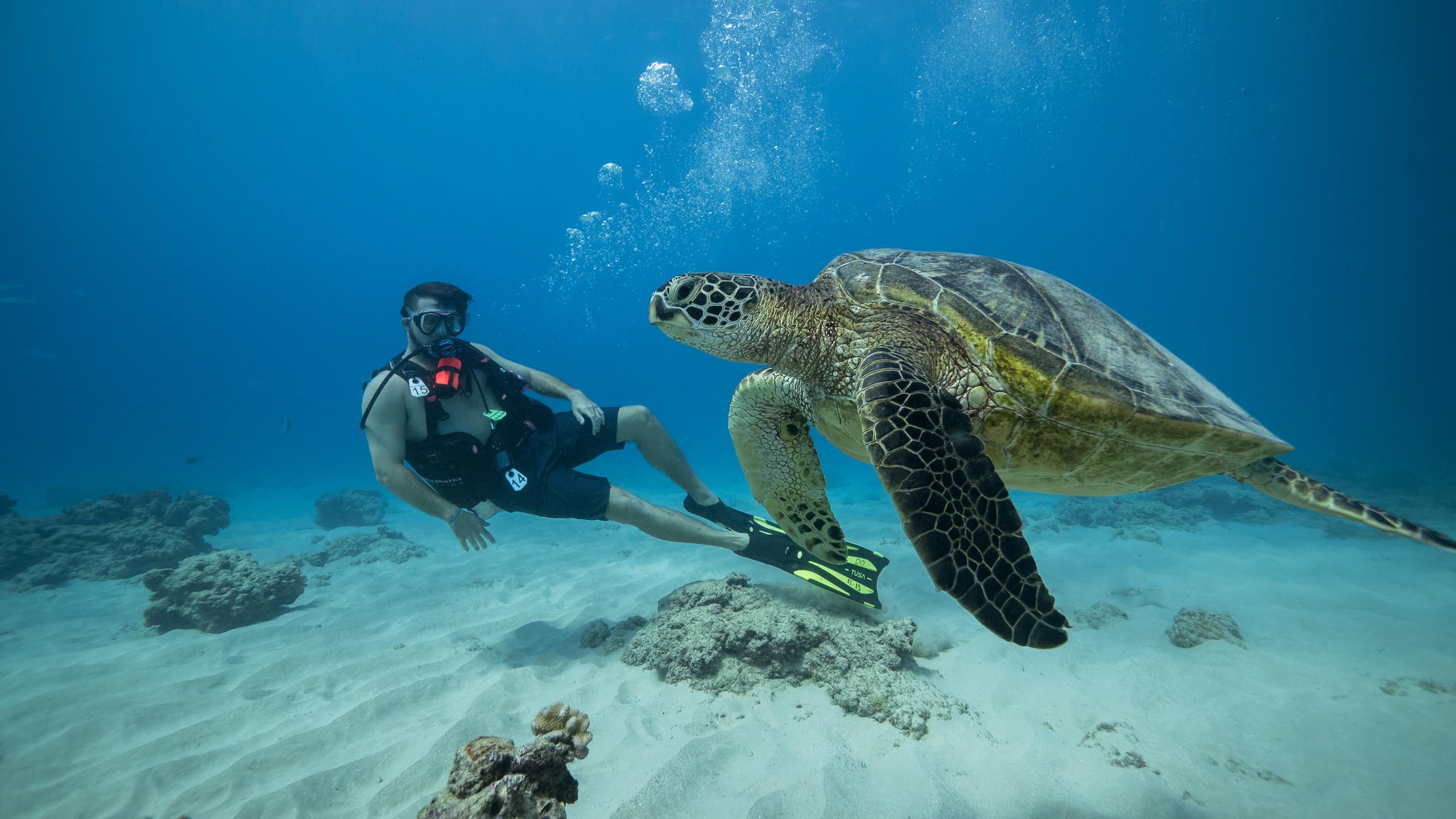 Introductory Diving