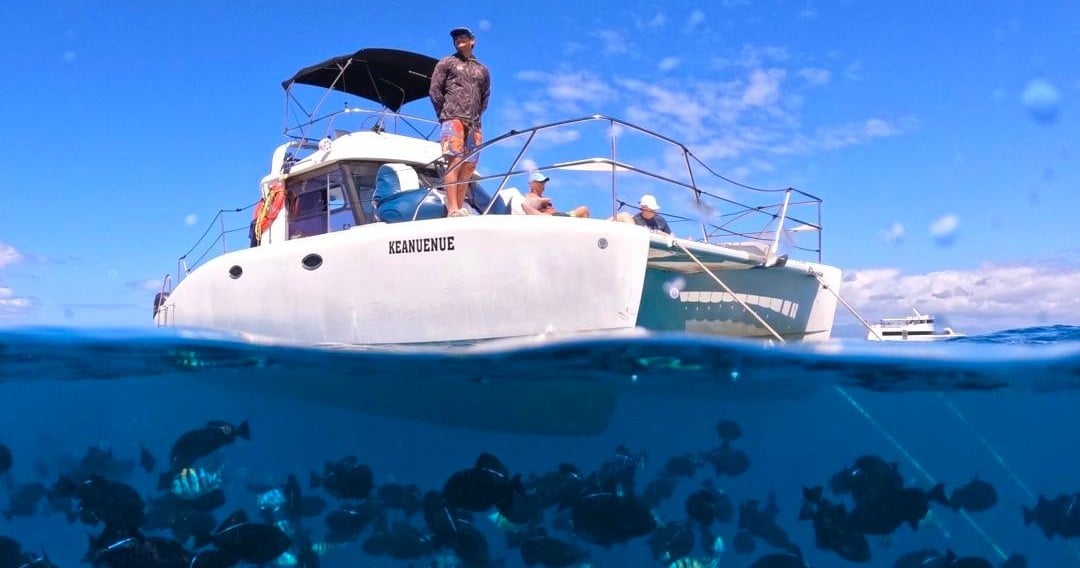 Semi-Private Turtle Snorkel & Catamaran Cruise