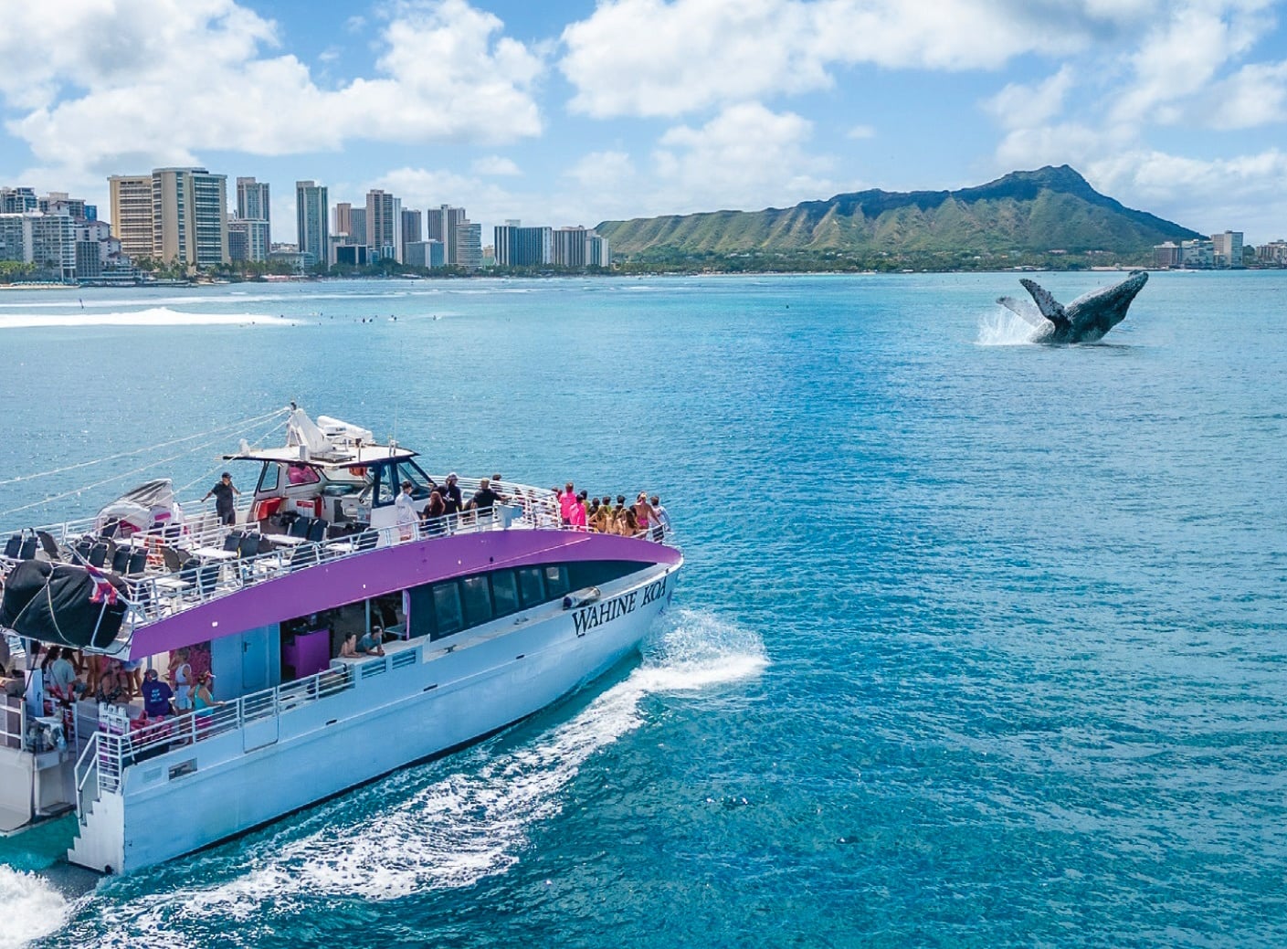 Whale Watching (Dec 15-April 15)