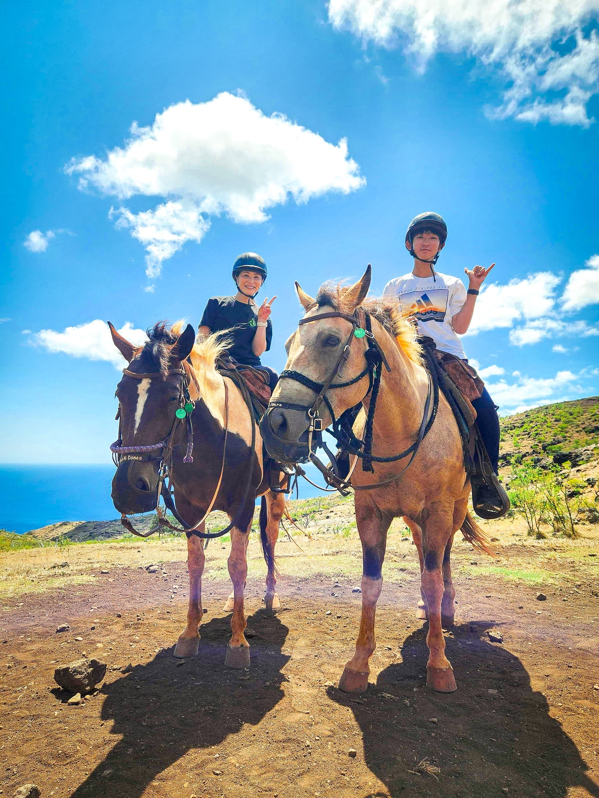 Mountain Vista - Sunshine Group Horseback Ride