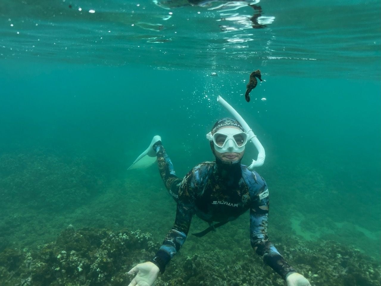 Snorkel Trip