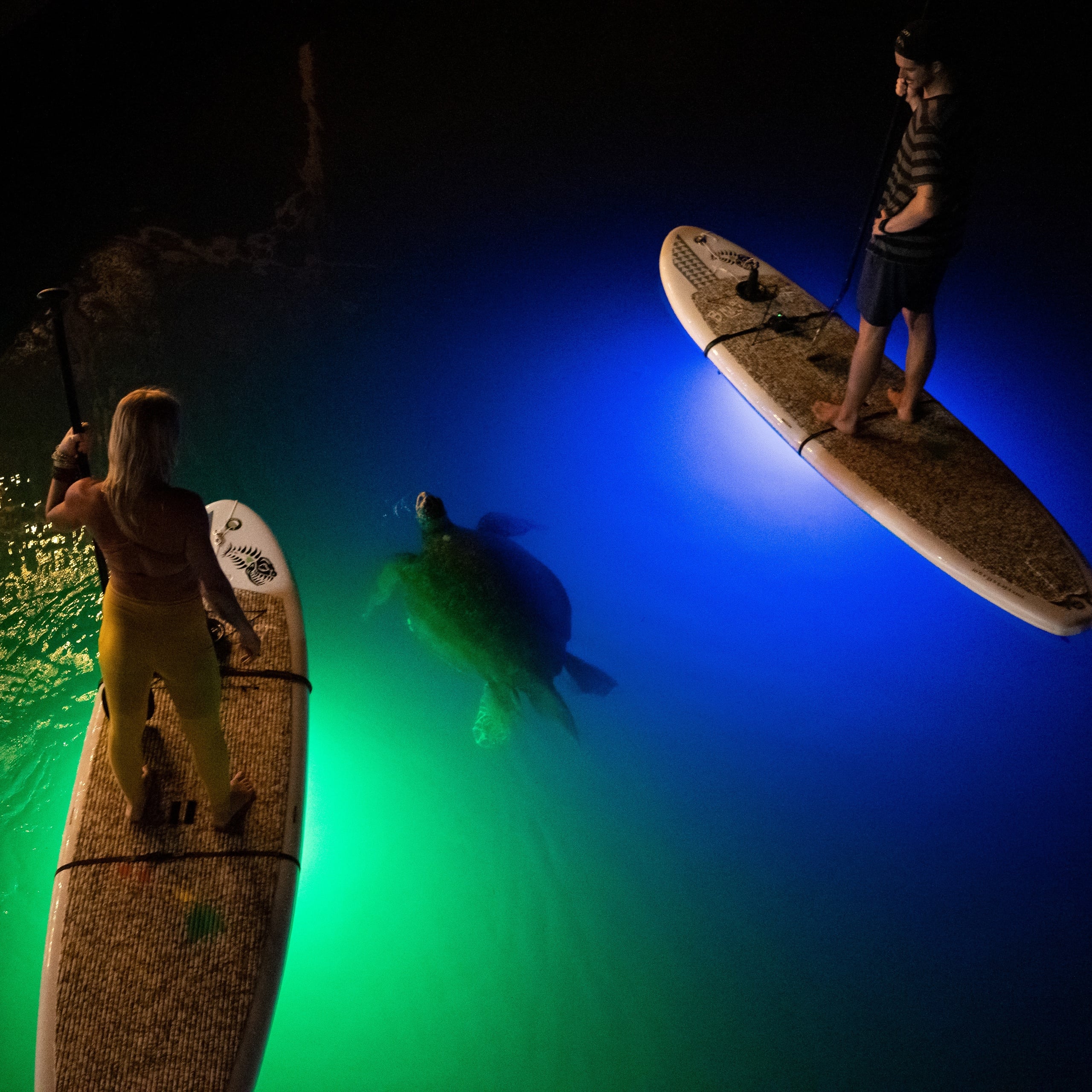 Neon Nights