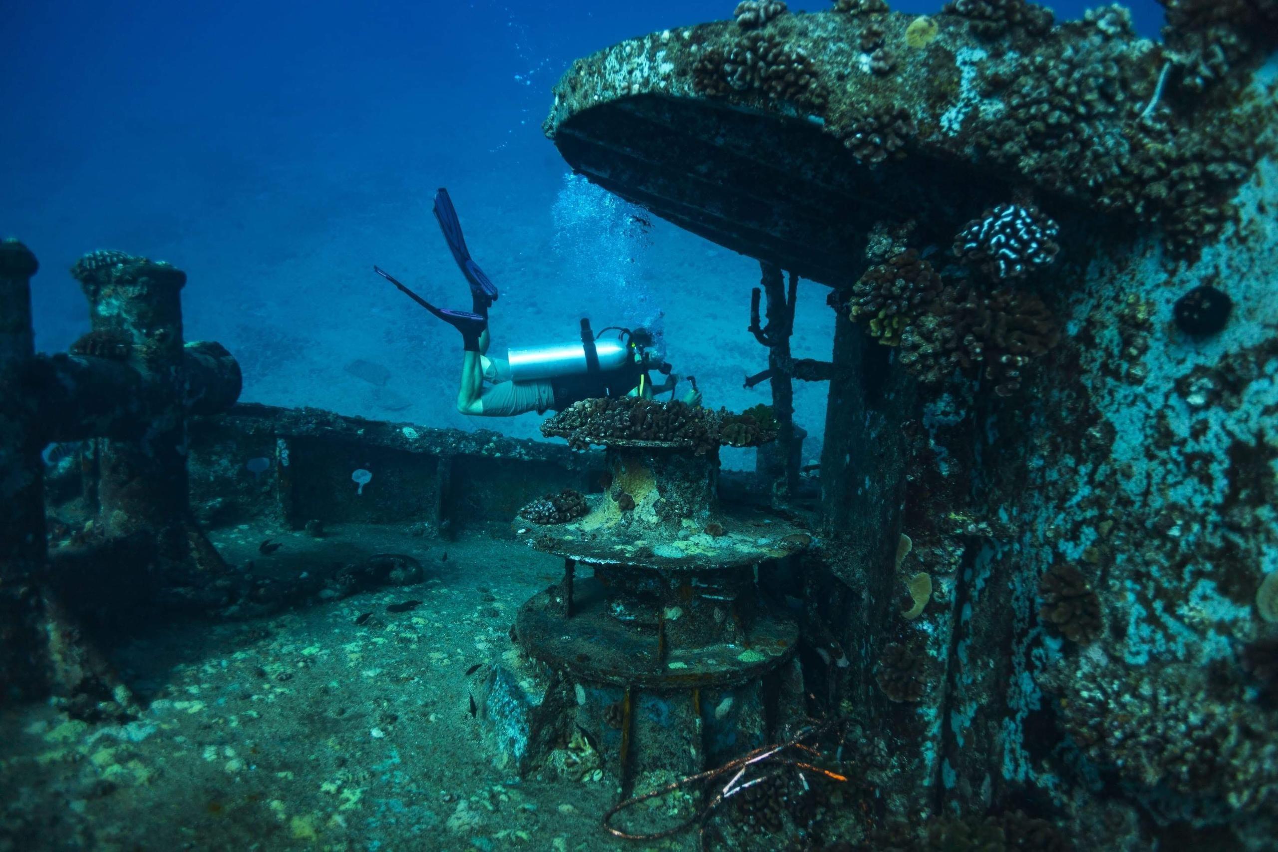 Night Dive