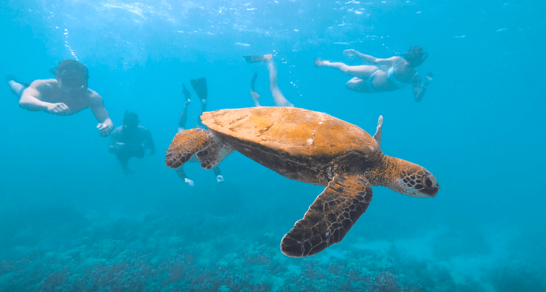 Ko Olina Four Seasons Snorkel