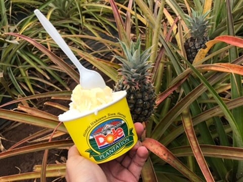 North Shore Foodie Fun: Eat, Explore, Enjoy