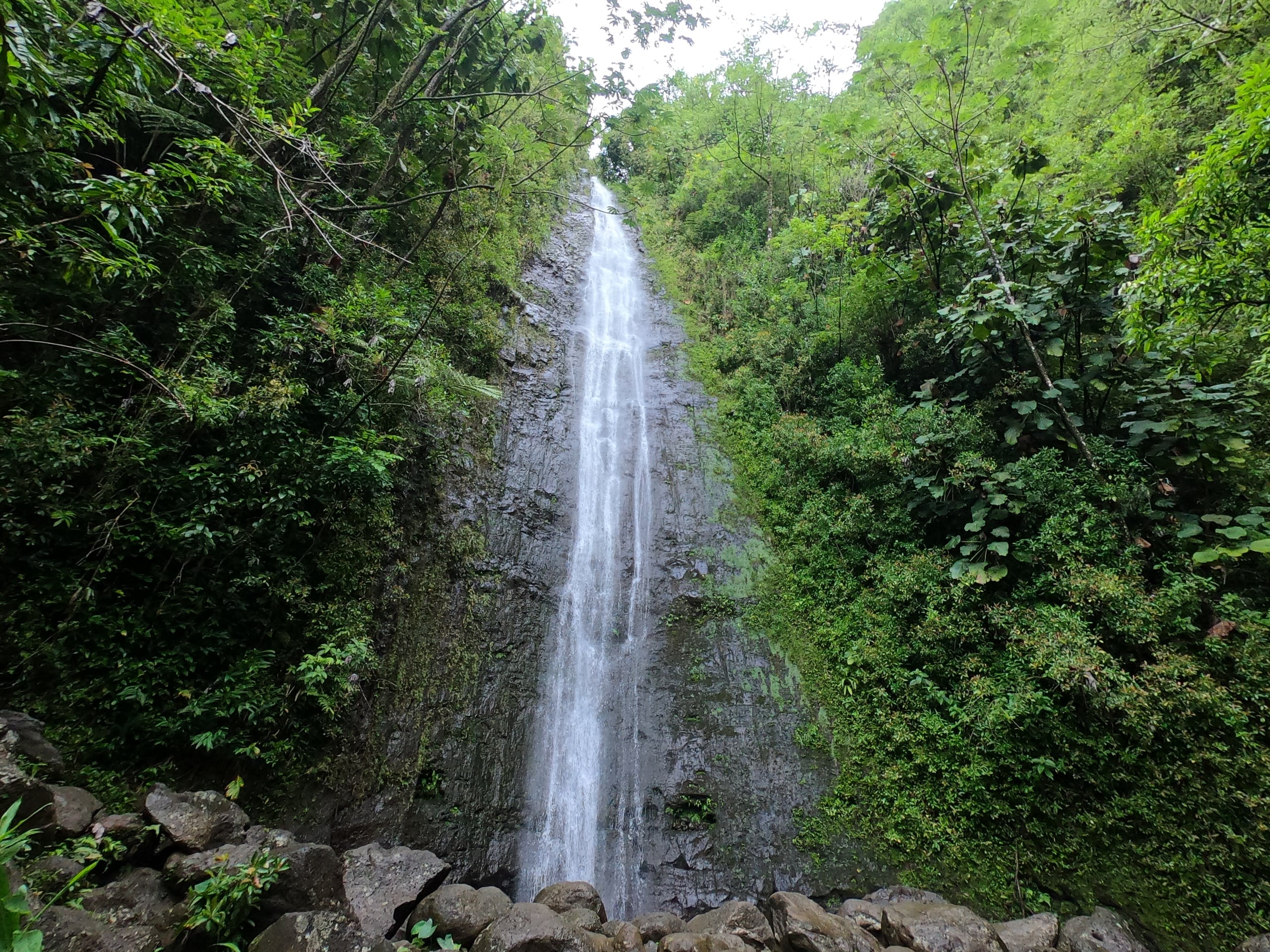 Hawaiian Waterfall Hike at Manoa Falls