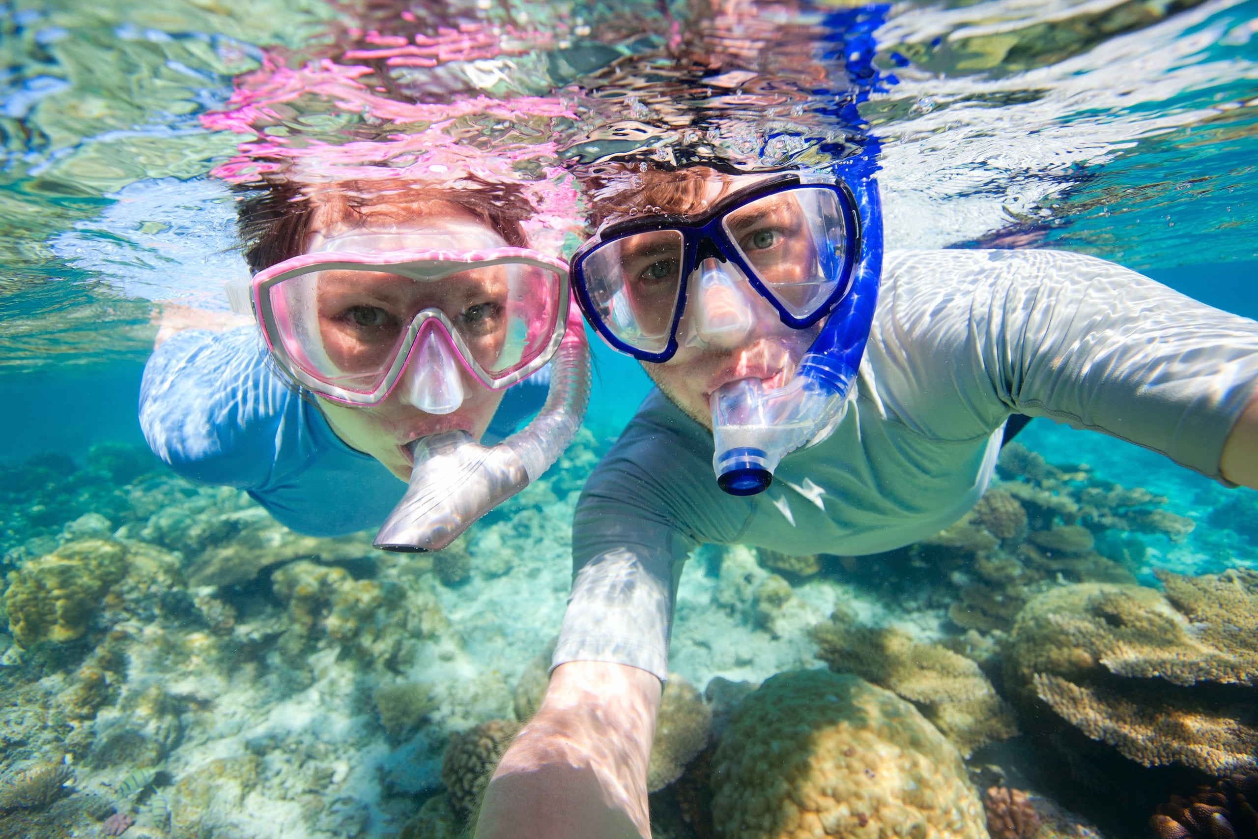 Guided Snorkel Tour + Free Videos - Honolulu