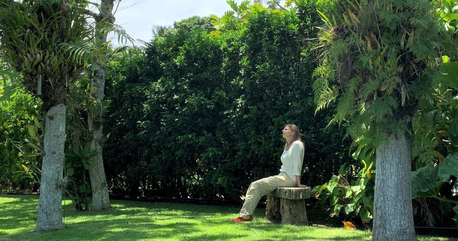Forest Bathing in an Artistʻs Garden