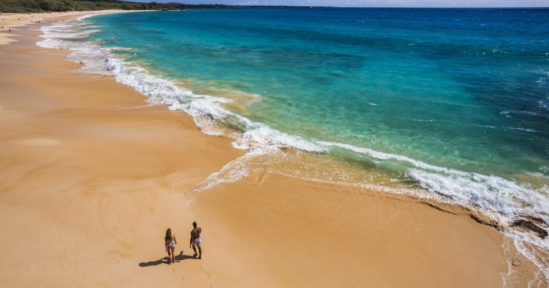 Large Group Private Luxury Tour of Oahu Island
