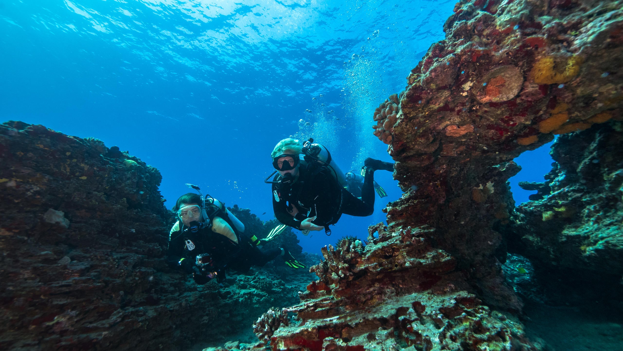 Shallow Reefs Tour