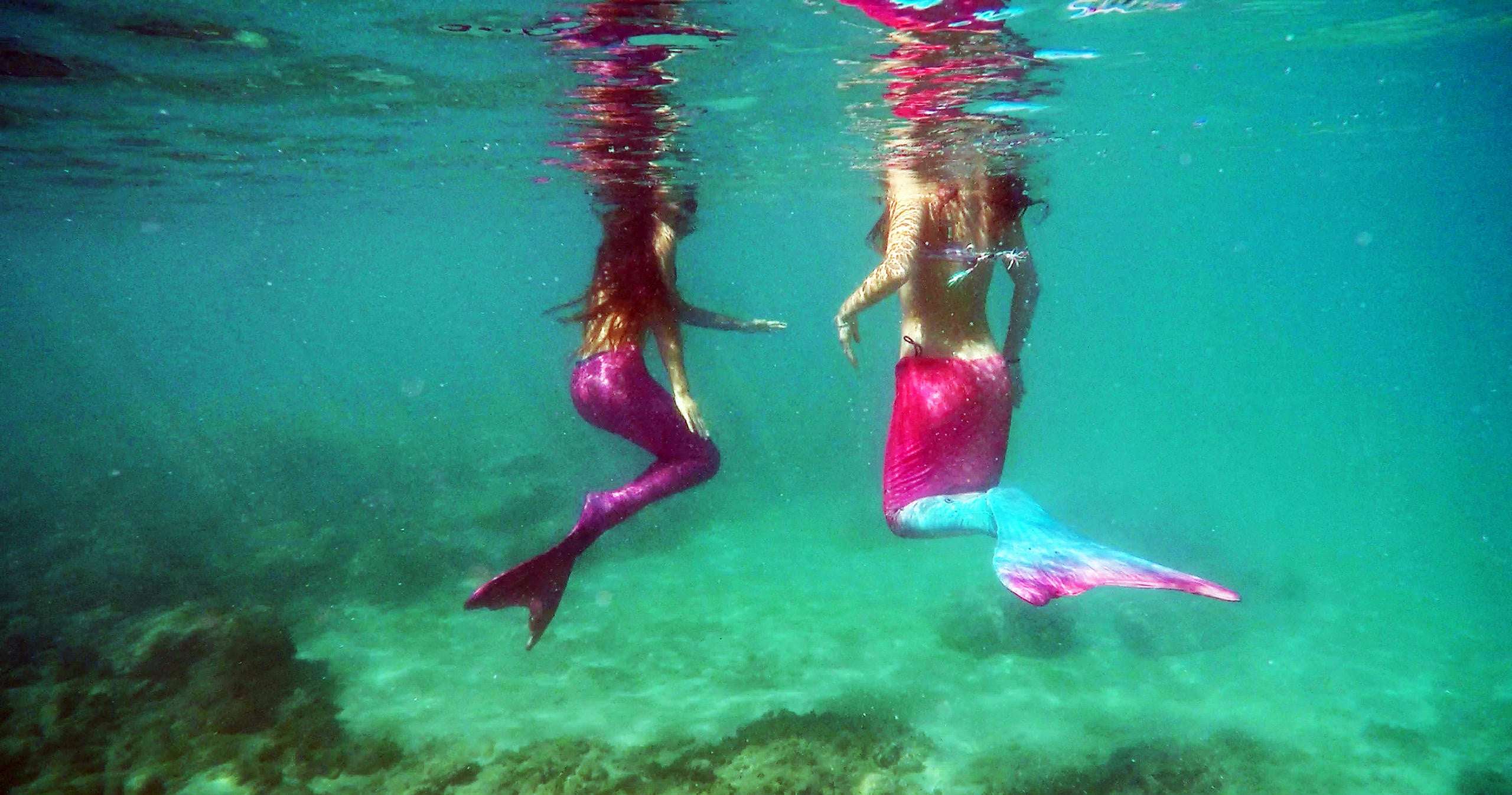 Mermaid Snorkel Tour & Photo Shoot