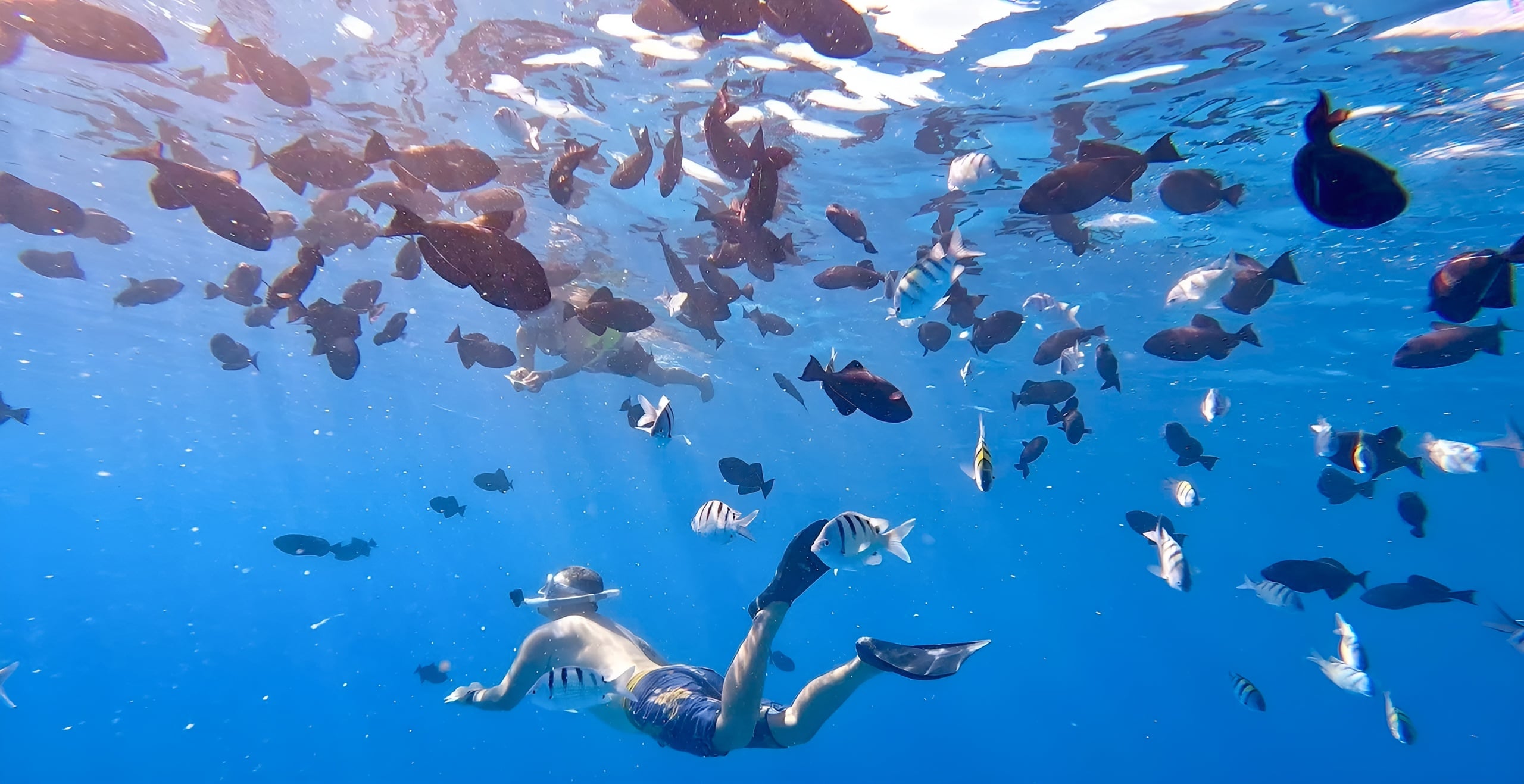 Snorkel Adventure