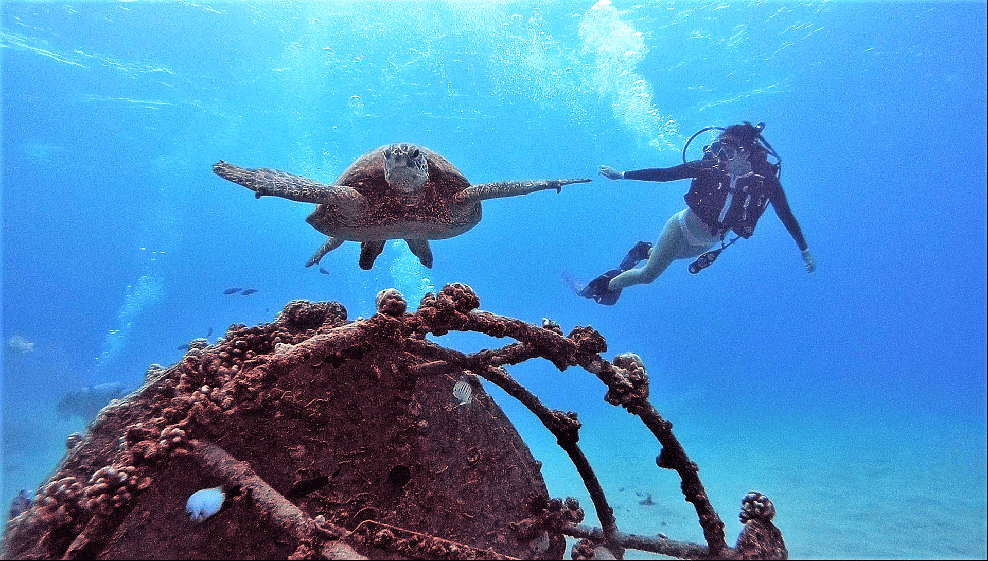 Two Tank Dive