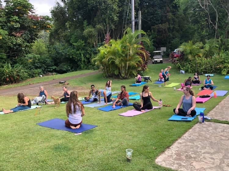 Goat Yoga with a Sweet Twist!