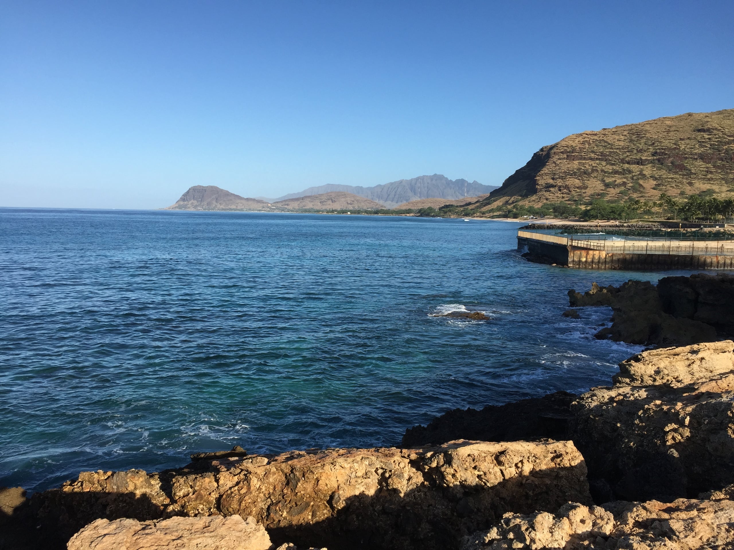 Electric Beach Snorkel Adventure