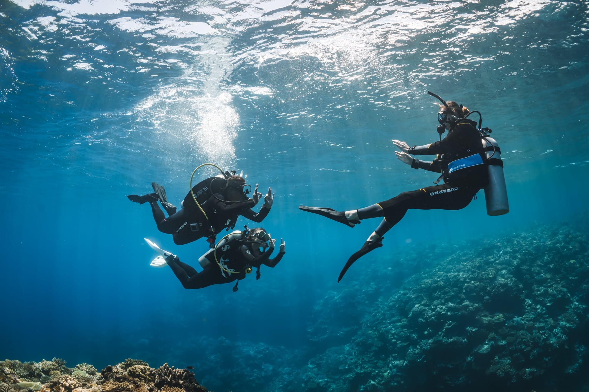 Divemaster