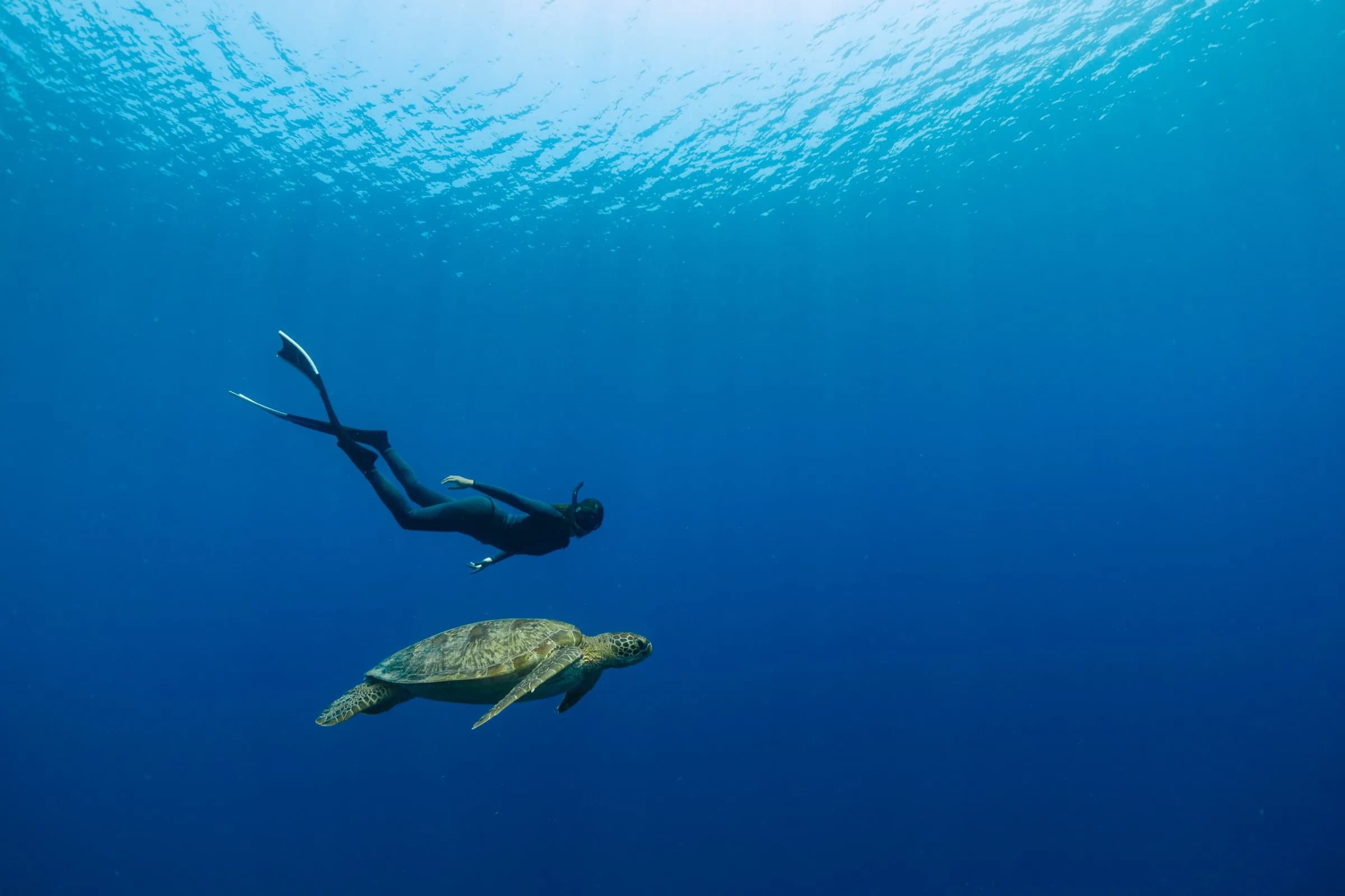 Freediving