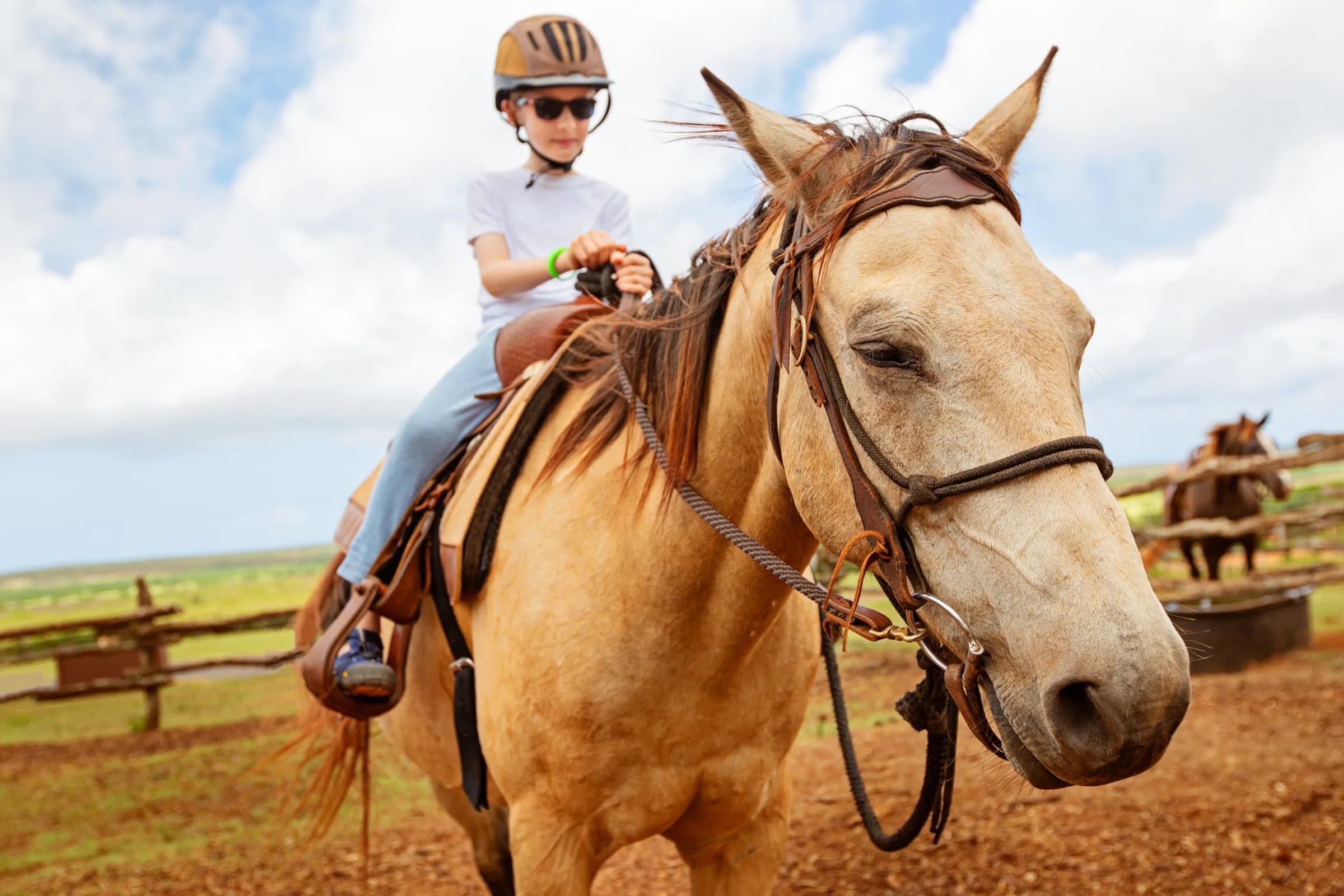 Horseback Riding