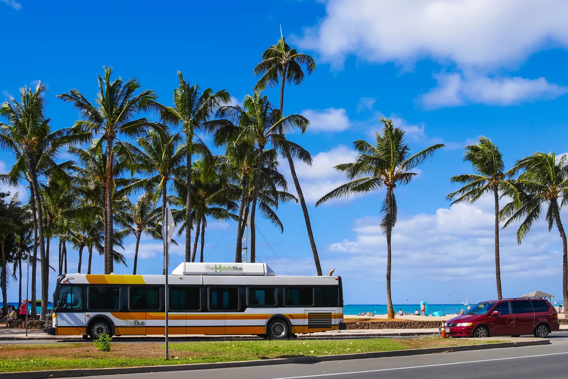 Transportation & Transfers
