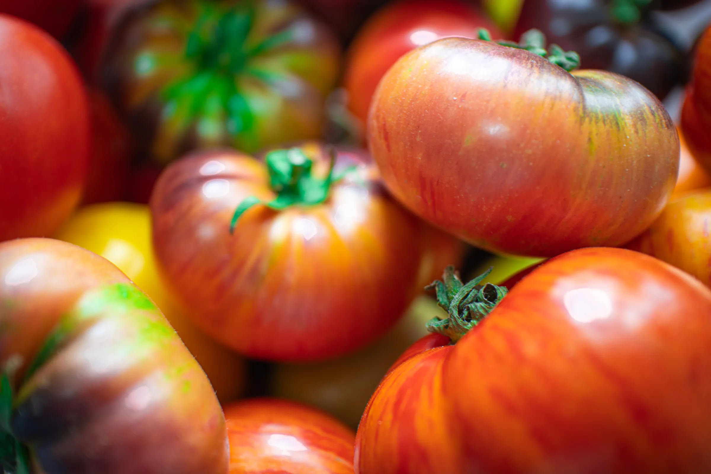 Kakaako Farmers Market