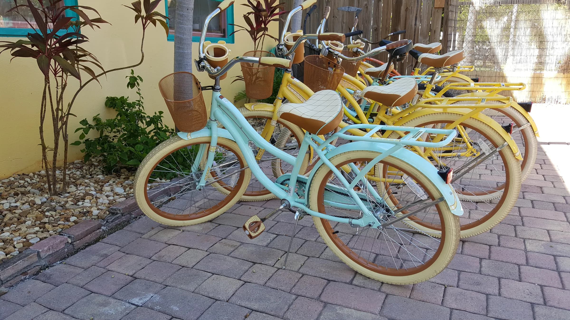 Bike Rentals