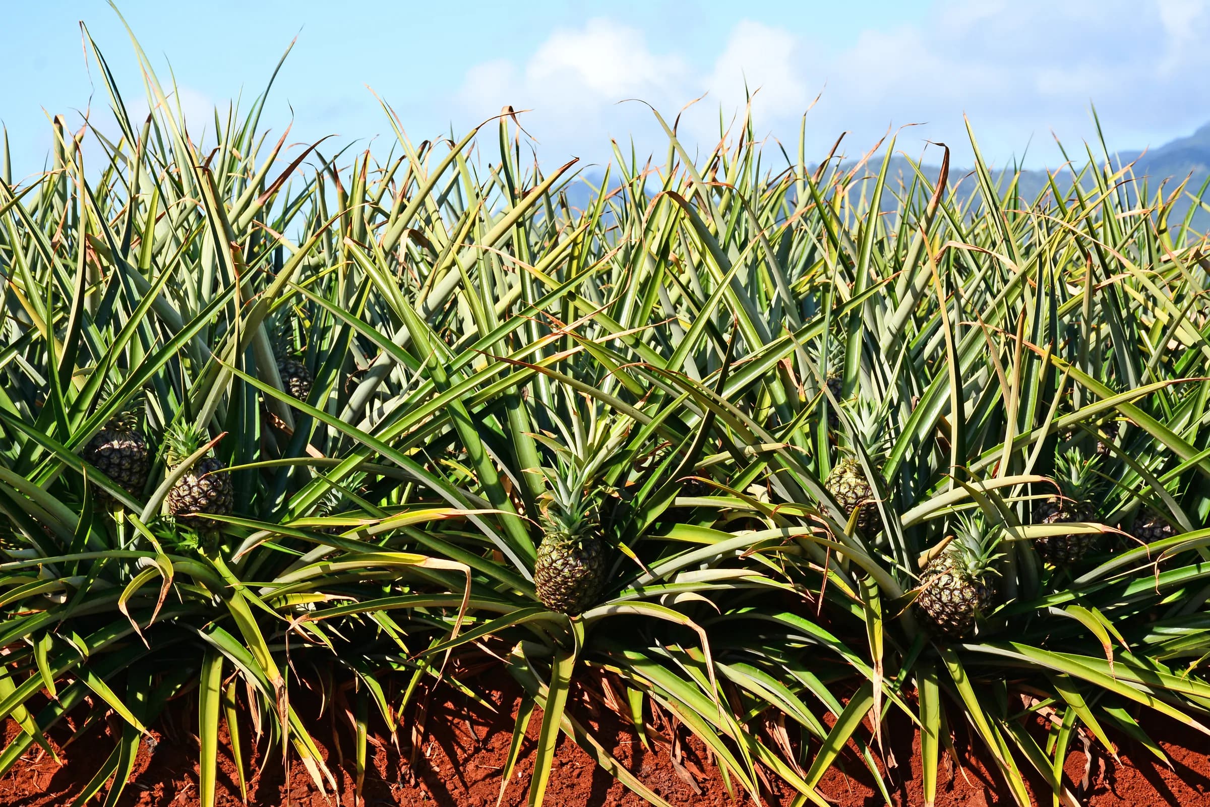 Farm & Garden Tours